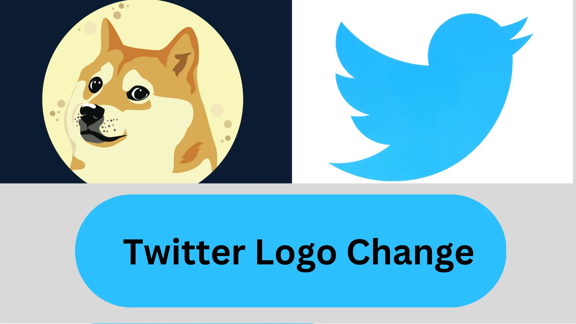 Twitter Logo Change