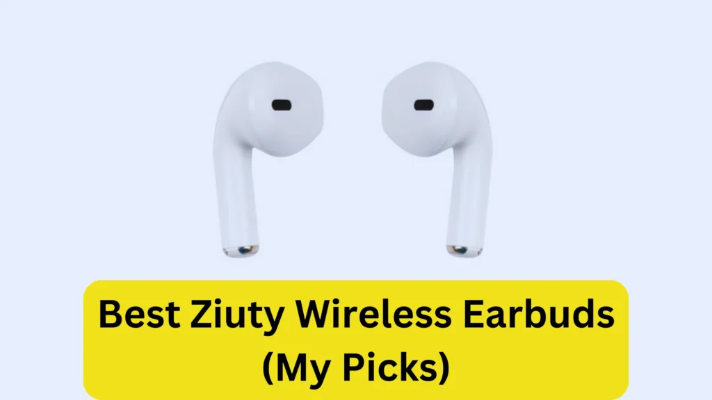 Best Ziuty Wireless Earbuds